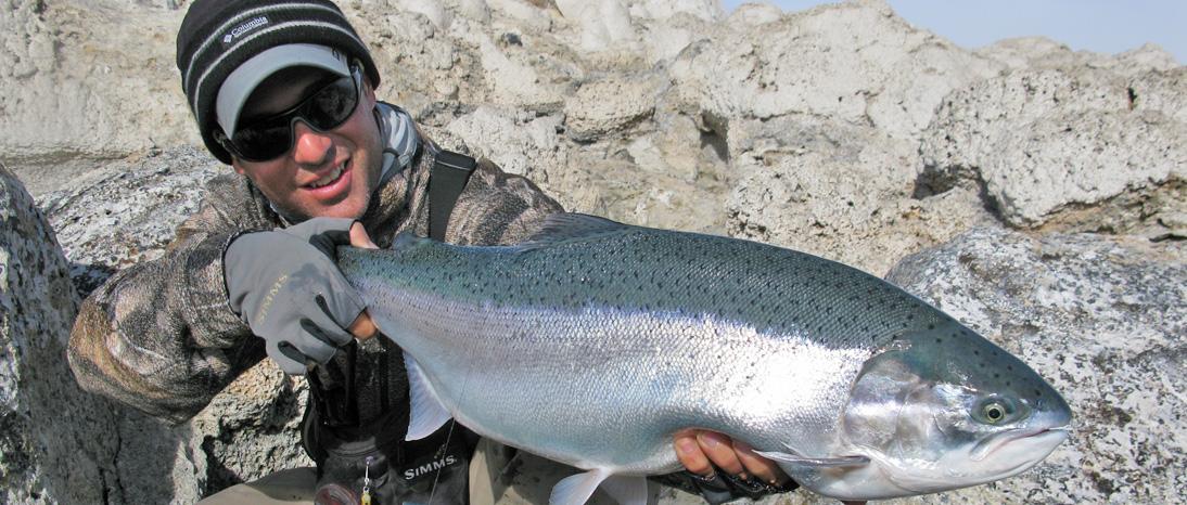 Lake Strobel Giant Rainbow Trout