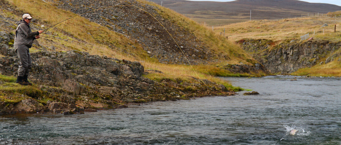 Iceland Atlantic salmon fishing