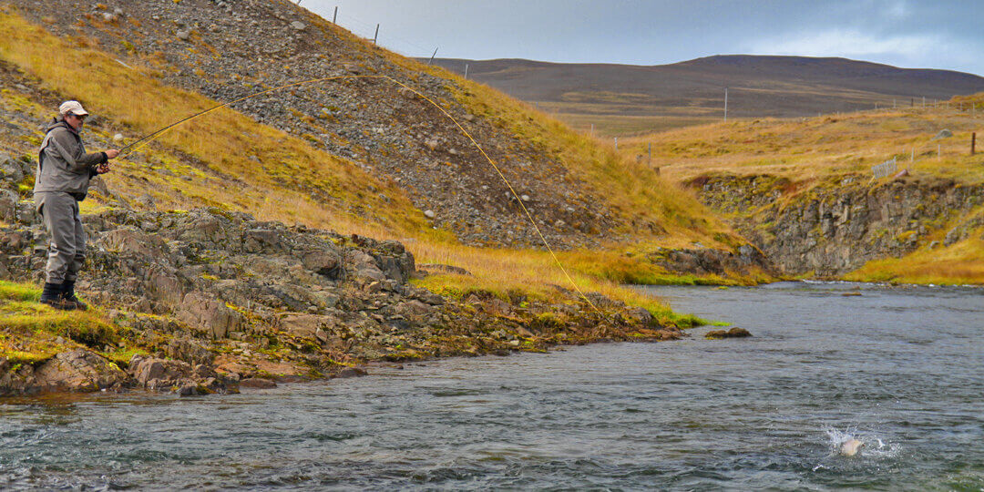 Iceland salmon fishing