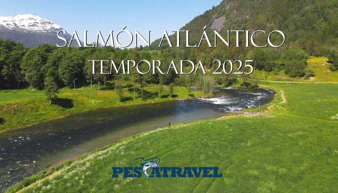 Salmón Atlántico Destinos 2025