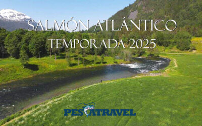 Salmón Atlántico Destinos 2025