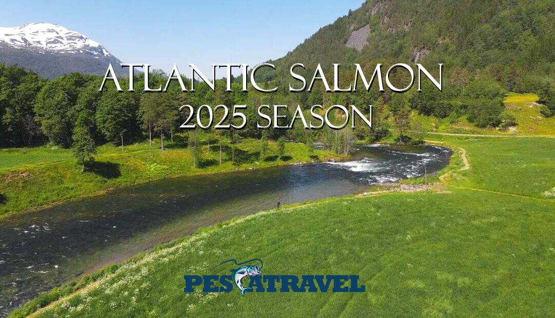 Atlantic Salmon Destinations 2025