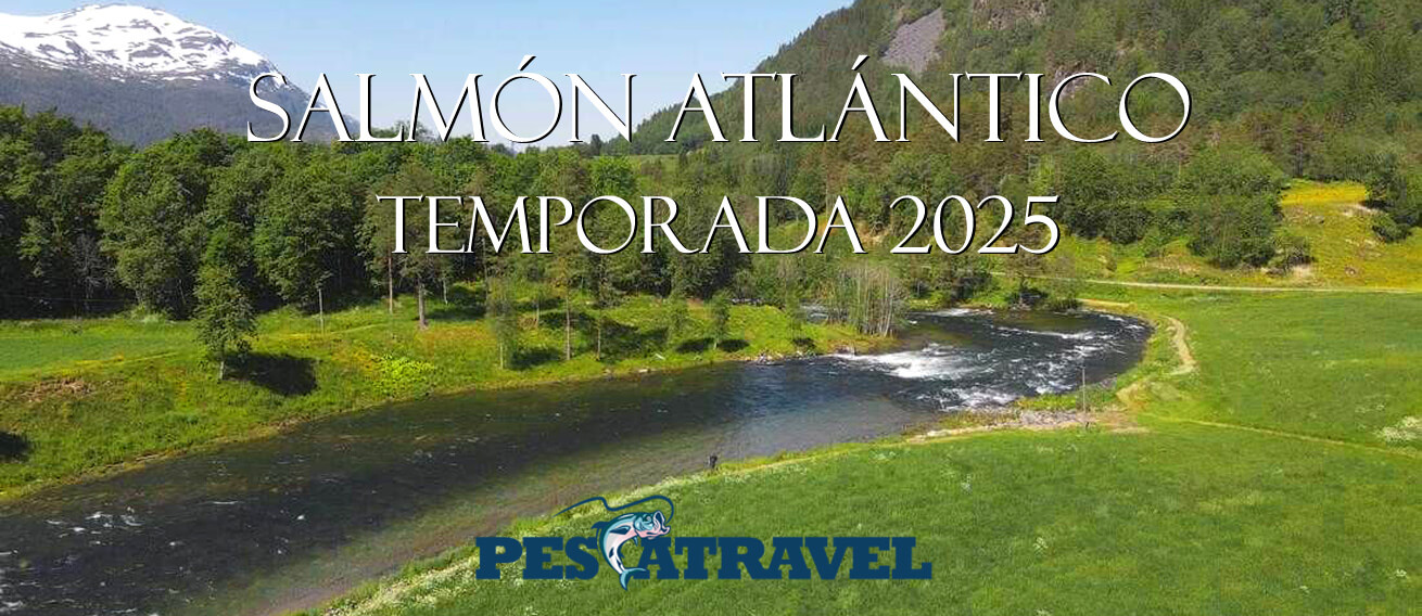 Salmon Atlántico Destinos 2025